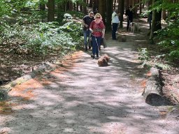 img_0527