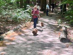 img_0528
