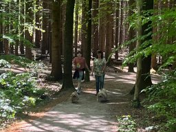 img_0532